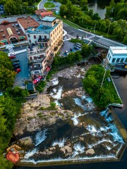 20230013-Mini3Pro-Sunflowers-Almonte-53