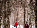 20210207-Z6-farm-snowshoe-100