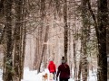 20210207-Z6-farm-snowshoe-101