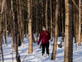 20210207-Z6-farm-snowshoe-145