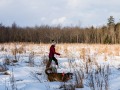 20210207-Z6-farm-snowshoe-169