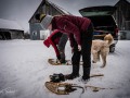 20210207-Z6-farm-snowshoe-17