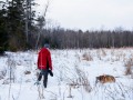 20210207-Z6-farm-snowshoe-173