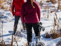 20210207-Z6-farm-snowshoe-251