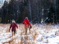 20210207-Z6-farm-snowshoe-273