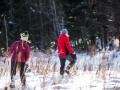 20210207-Z6-farm-snowshoe-281