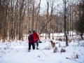 20210207-Z6-farm-snowshoe-311