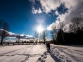 20210207-Z6-farm-snowshoe-365