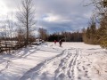 20210207-Z6-farm-snowshoe-399