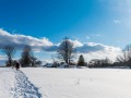 20210207-Z6-farm-snowshoe-403