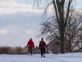 20210207-Z6-farm-snowshoe-409