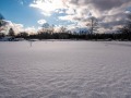 20210207-Z6-farm-snowshoe-413