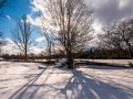 20210207-Z6-farm-snowshoe-424