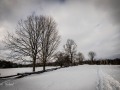 20210207-Z6-farm-snowshoe-441