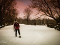 20210207-Z6-farm-snowshoe-46