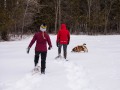 20210207-Z6-farm-snowshoe-71