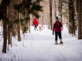 20210207-Z6-farm-snowshoe-96