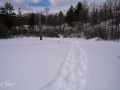 20210206-Z6-Gat-snowshoe-244