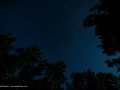 20190720-wildernesstours-8