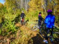 20201012-laroseforest-biking-63