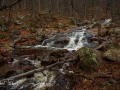 20211120-Z6-luskwaterfall-128