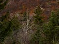 20211120-Z6-luskwaterfall-545