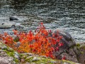 20211010-Z6-ottawariver-299