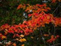 20211010-Z6-ottawariver-365