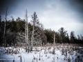 20190127-snowshoehike-101