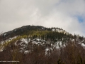 20190311-whiteface-53