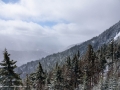 20190312-whiteface-129