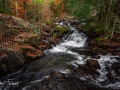 20211022-Z6-gatineaupark-321