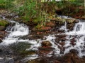 20211022-Z6-gatineaupark-332