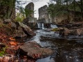 20211022-Z6-gatineaupark-417