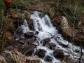 20211022-Z6-gatineaupark-440