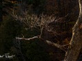 20211022-Z6-gatineaupark-550