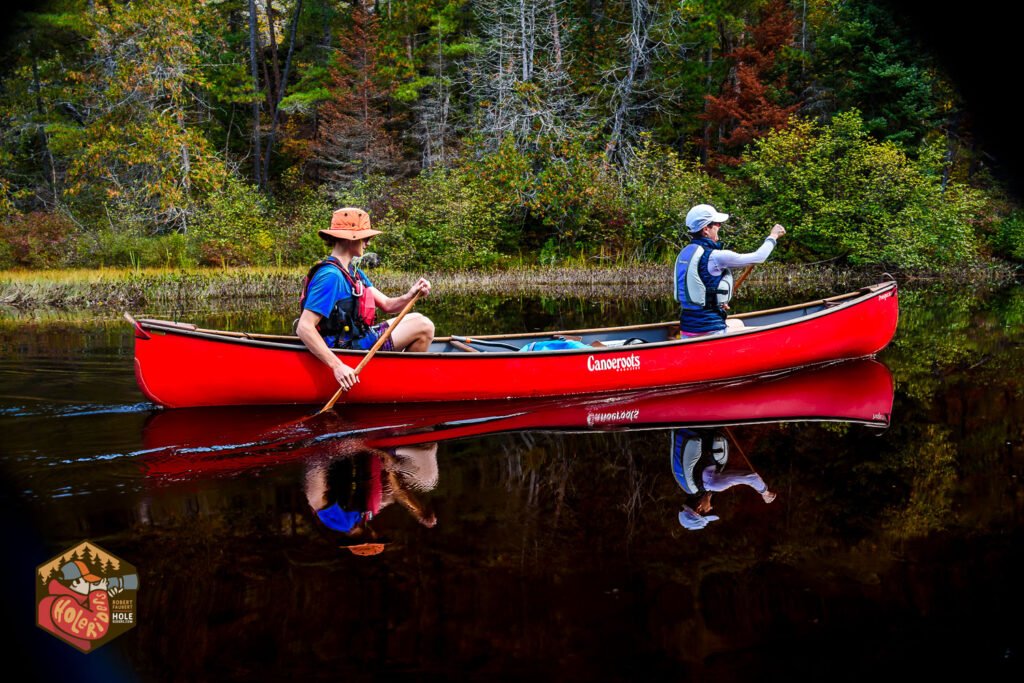 20201026-algonquinpark-162-Edit-1024x683.jpg