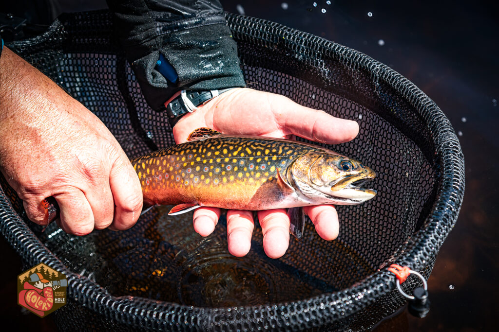 20210501-D750-flyfishing-584-Edit-1024x683.jpg