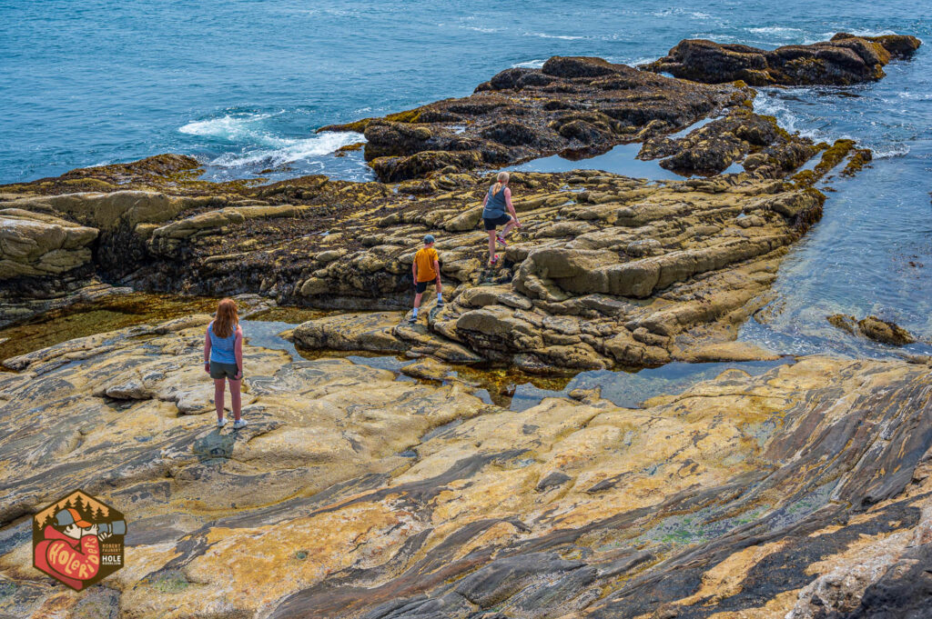 2024-08-13-Z6-Maine-beachlife-126-1024x681.jpg