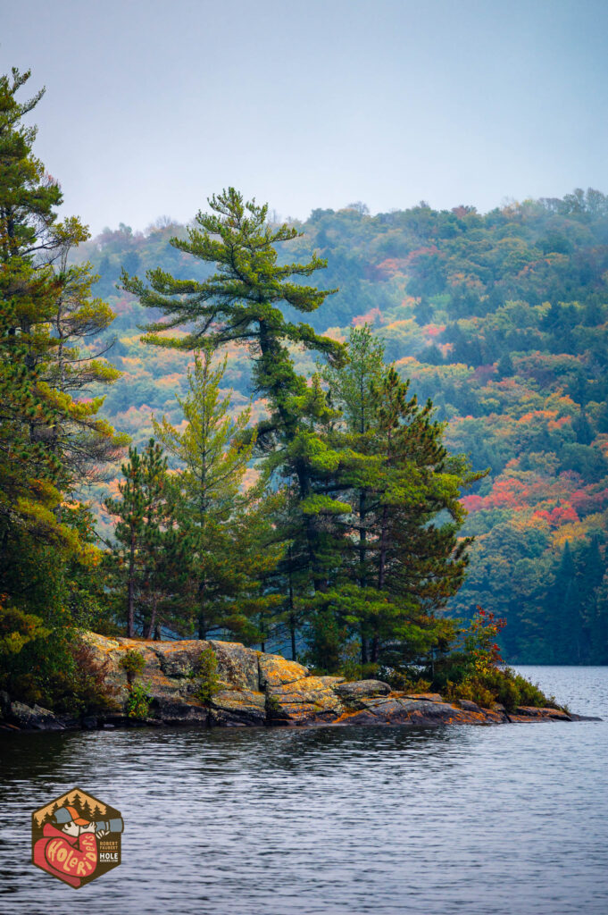 2024-09-25-Z6-Algonquinpark-16-681x1024.jpg