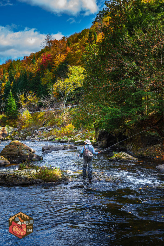 2024-10-05-Z6-adirondacks-354-681x1024.jpg