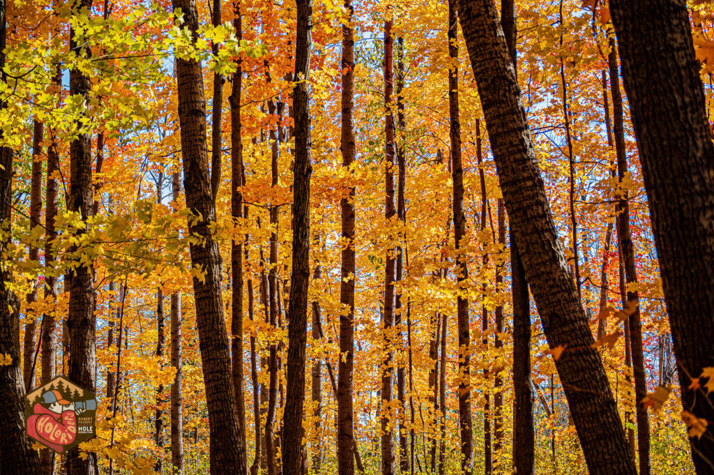 2024-10-20-Z6-JackPine-limekiln-367-1024x681.jpg