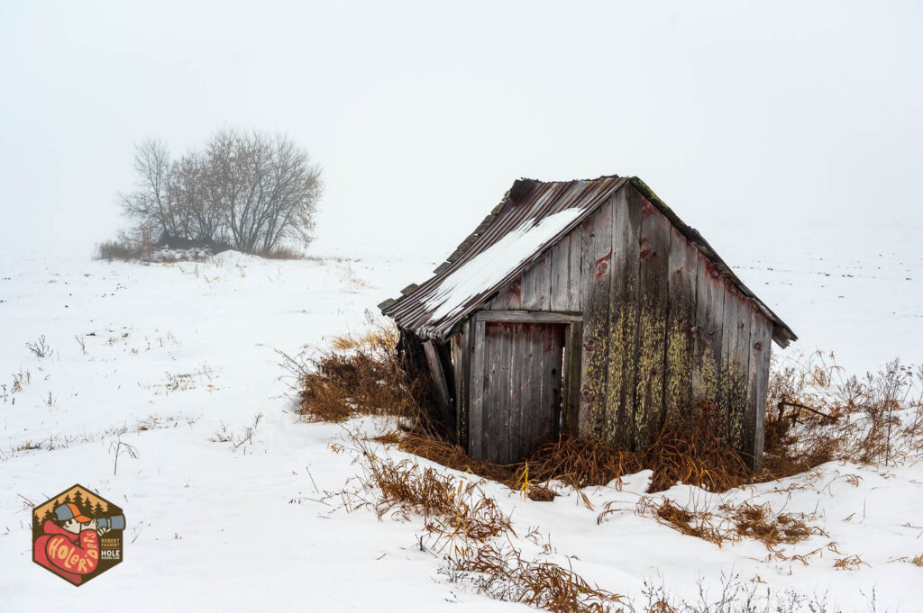 2024-12-11-Z6-Foggy-fields-91-1024x681.jpg