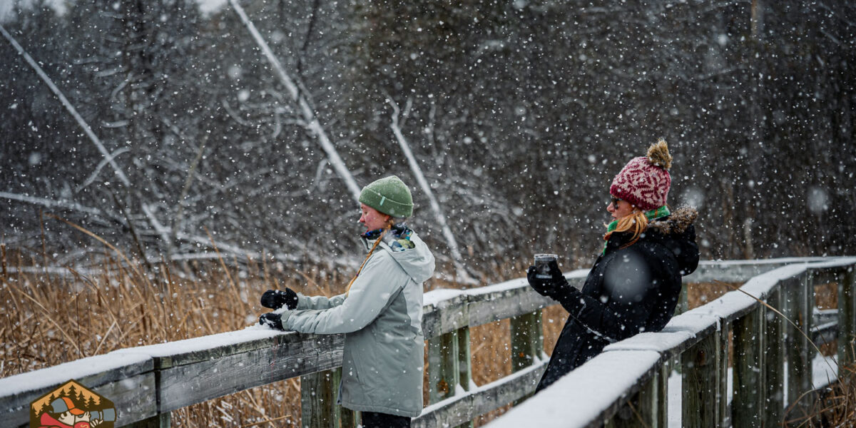 Snowy walk on Old Quarry trail-20251222