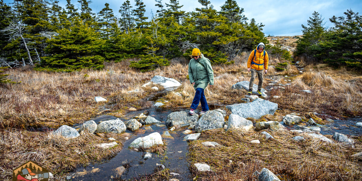 Pennant Point hiking adventure, Nova Scotia